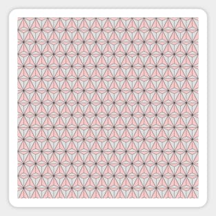 Spaceship Earth Geometric Pattern Millennial Pink Magnet